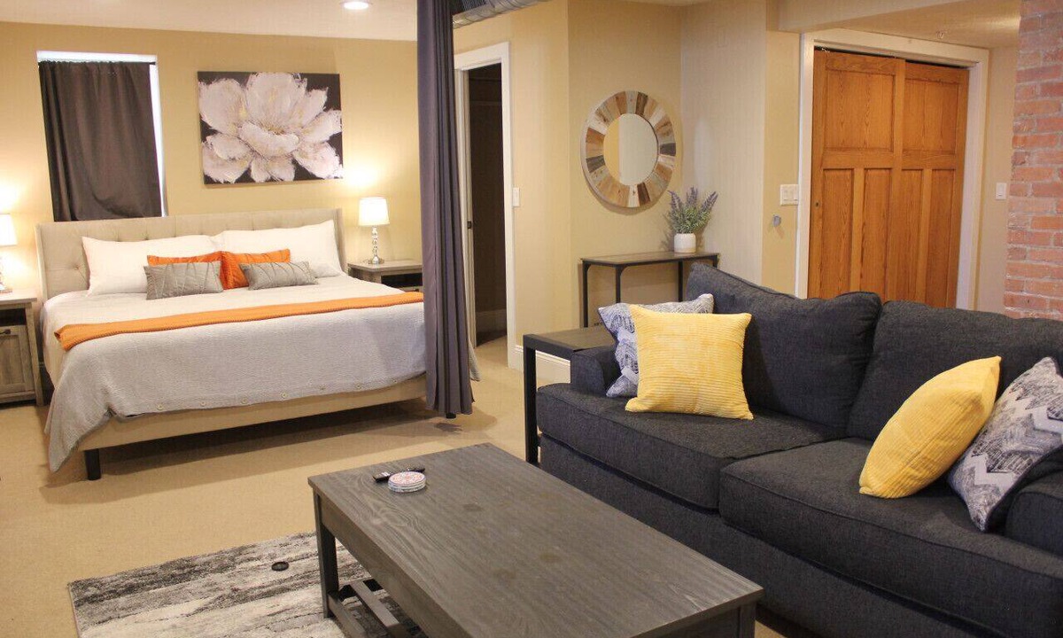 Vine Apartment | 131 Cedar 5 · Luxury Studio with Full Kitchen in Downtown Kalamazoo