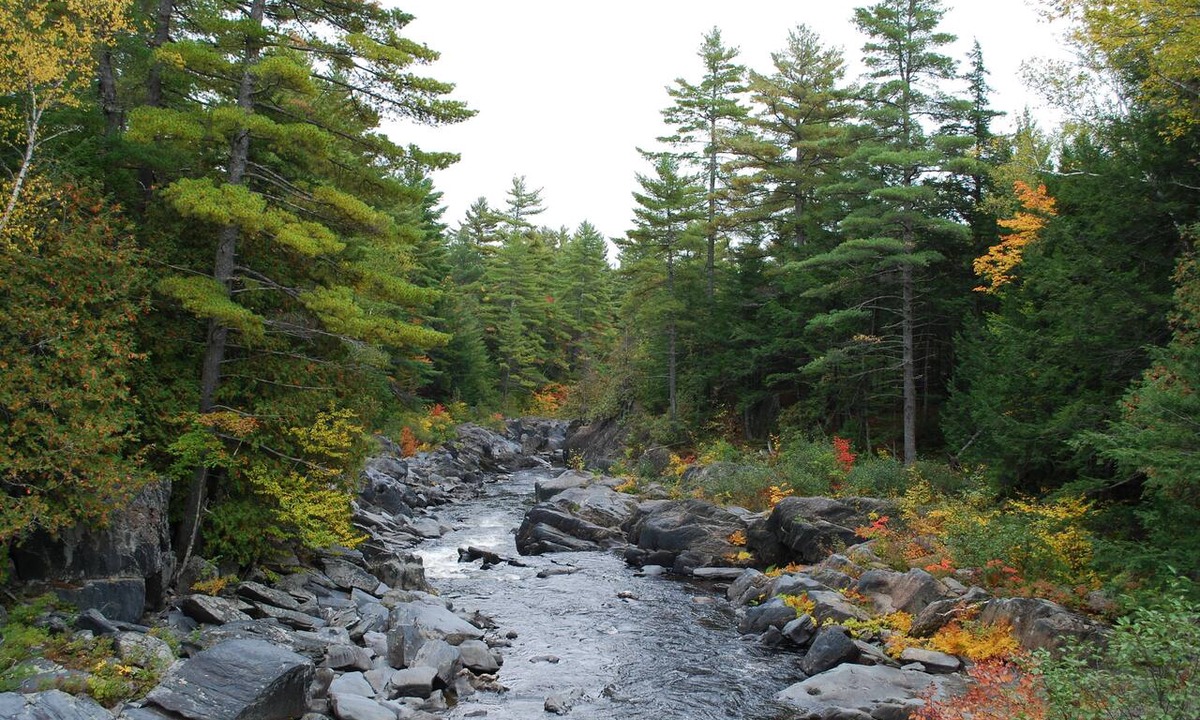 Abbot Hotel | Abbot Trailside Lodging