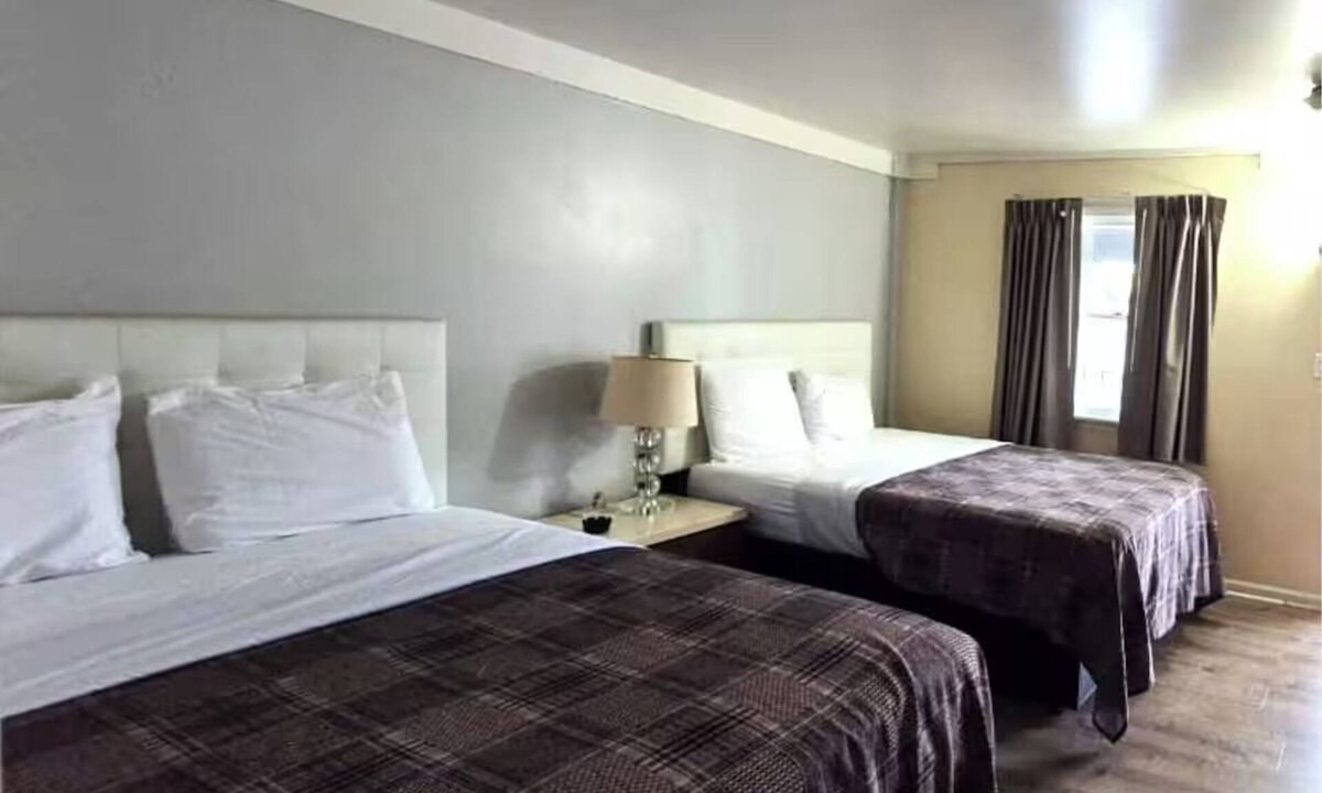 South Holland Hotel | Affordable Pet-Friendly Room w/Free Parking – Ideal Family & Group Stays