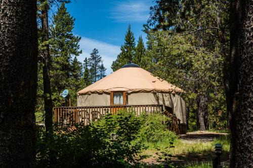 Three Rivers Resort | Bend-Sunriver Camping Resort 24 ft. Yurt 9