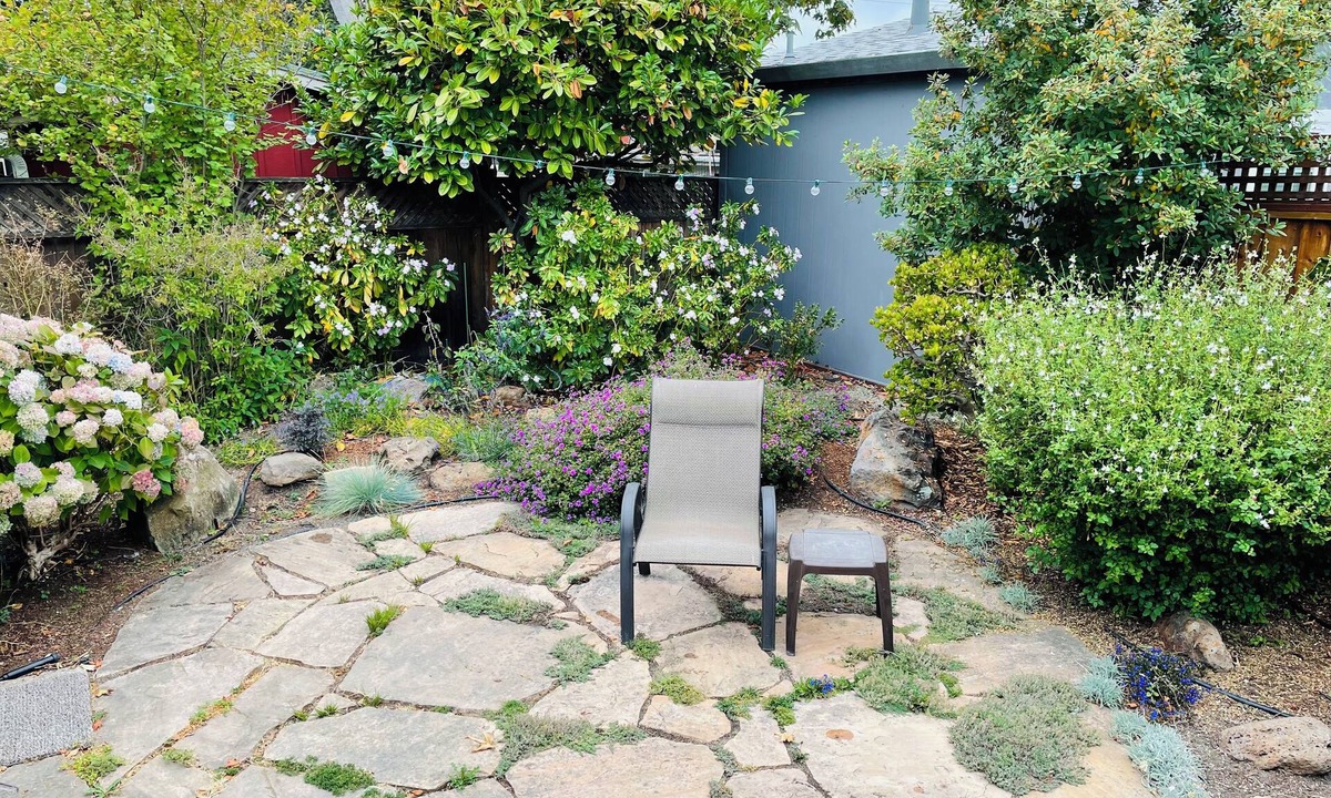 Albany House | Berkeley/Albany 2 BR Home. Perfect for couples, families, new grandparents!