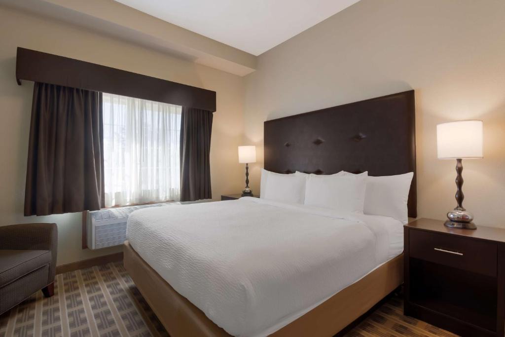 Forest Grove Hotel | Best Western University Inn and Suites