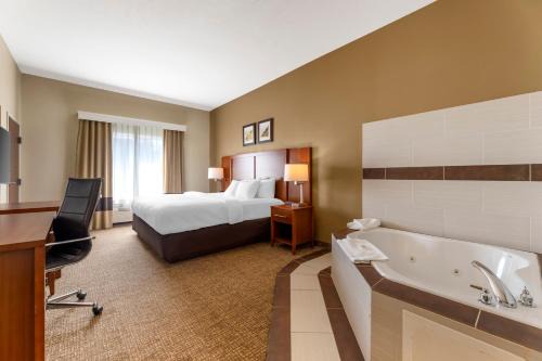 Porter Hotel | Comfort Inn & Suites Porter near Indiana Dunes