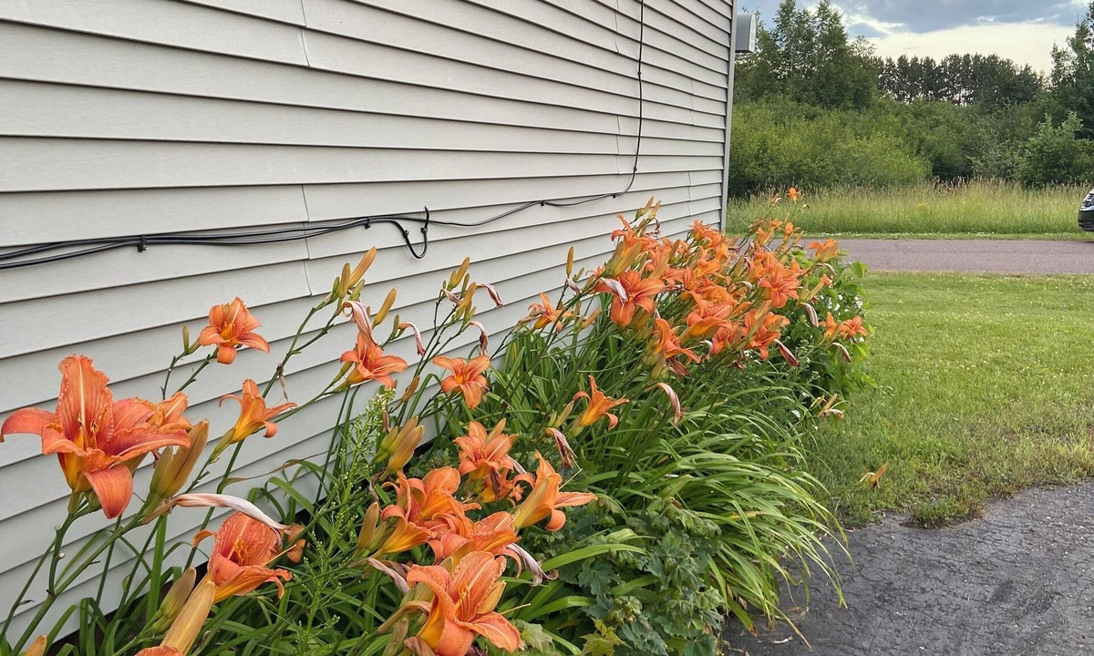 Laurium Cottage | Cozy 2-bedroom cottage in historic Calumet