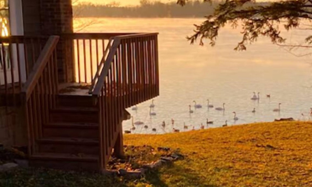 Maple Lake Cabin | Cozy Getaway + Firepit + Lake + Relaxing Anytime + Peaceful Nights + Perfect