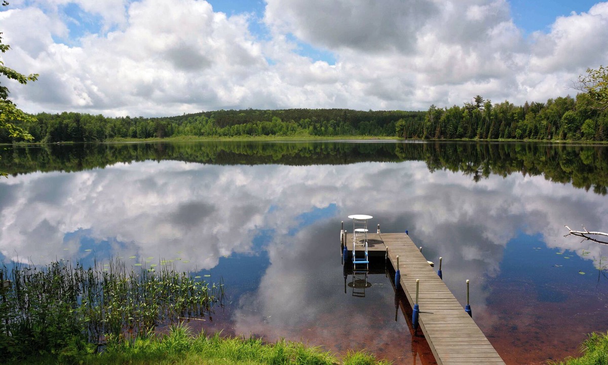 Clam Lake Cabin | Elk Crossing On Lower Clam Lake