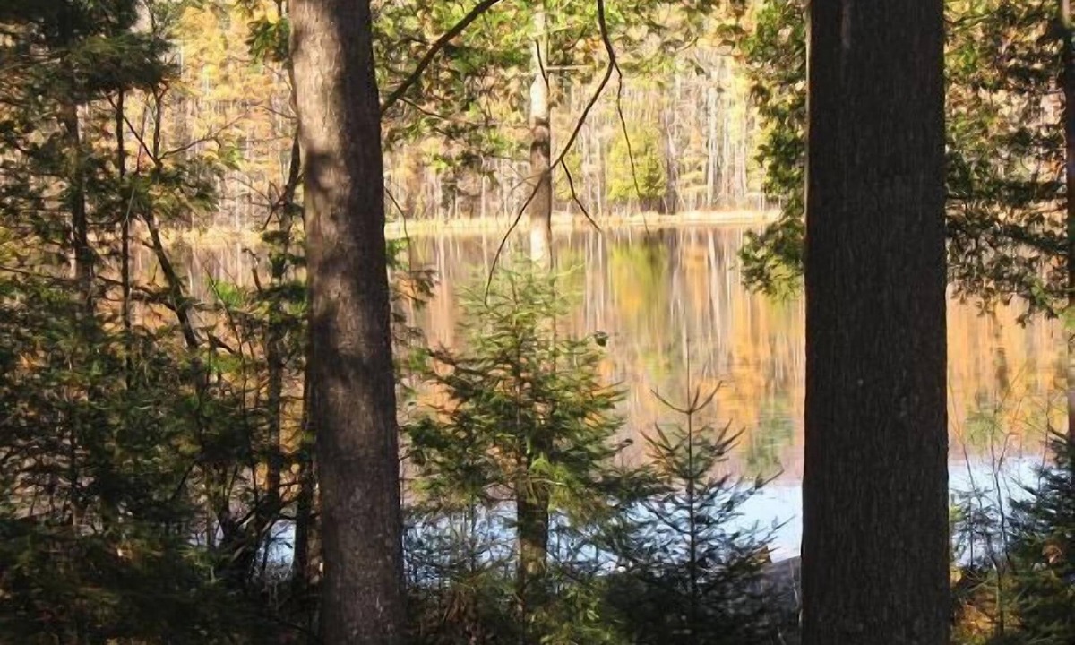 Mountain House | Gorgeous getaway in the Northwoods, 3 miles from snowmobile /ATV trails