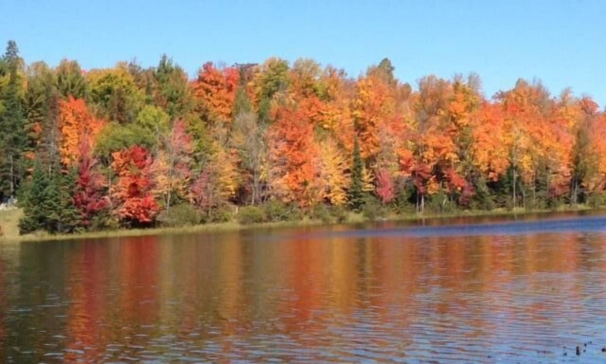 Eagle River Cabin | Great Location, Quiet, Waterfront, Family Friendly