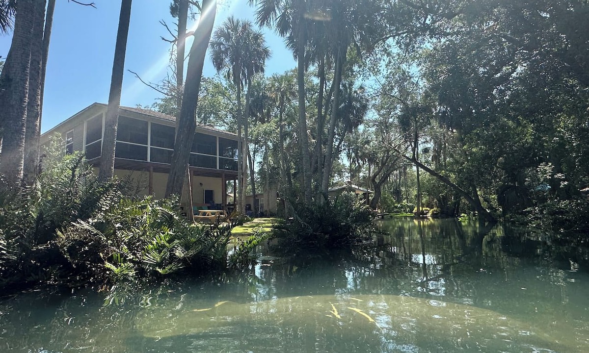 Weeki Wachee Gardens House | Hidden Spring-run Swimming elevated Views & Game Rm