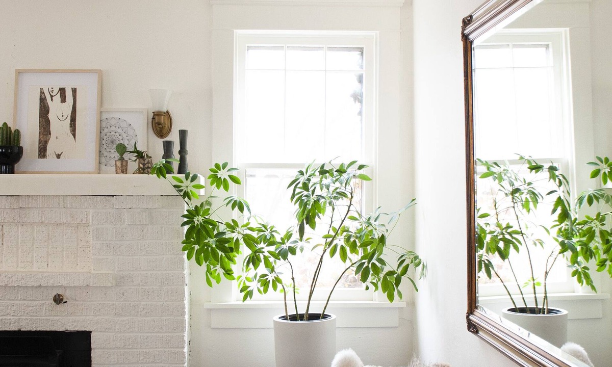 Downtown House | Historic Artists Home in Mapleton Hill