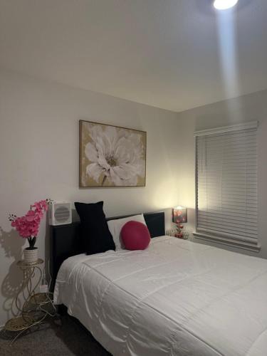 Rosenberg House | Homely