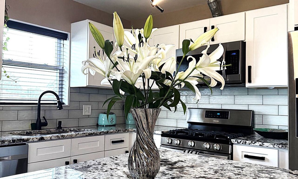 Oak Lawn Apartment | Modern 3BR Near Midway Airport Free Parking