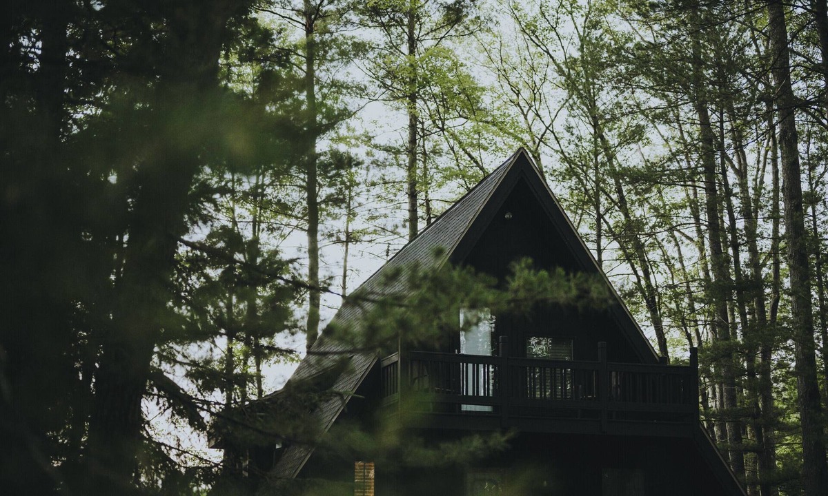 Gaylord Cabin | Modern A Frame cabin - on beautiful Fawn Lake!