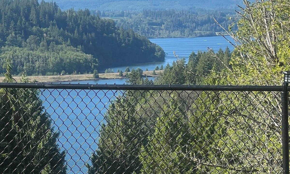 Mossyrock House | Mossyrock, WA Charming Retreat with Lake Views!