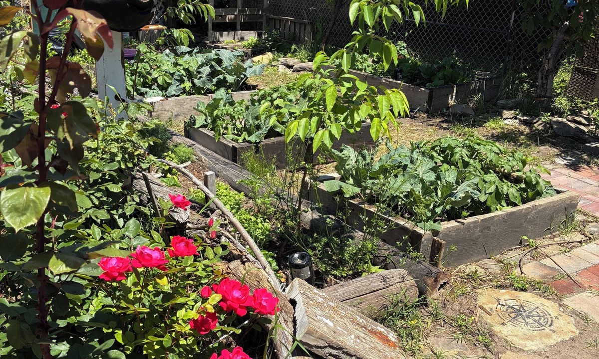 Broad Channel Cabin | NY Summer Escape — your off-grid garden on the bay