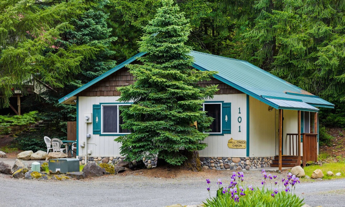 Packwood Cabin | Peaceful Cabin w/Hot Tub Near Mt Rainier