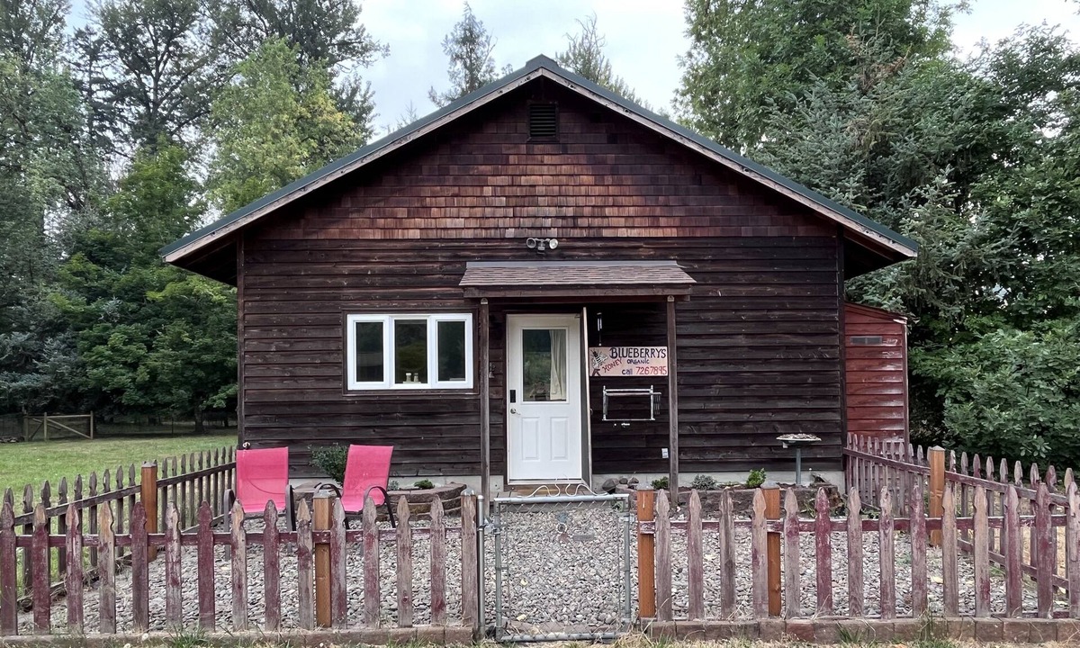 Fall Creek Cabin | Peaceful Cabin, Wood-fired sauna, grill by creek, work remote