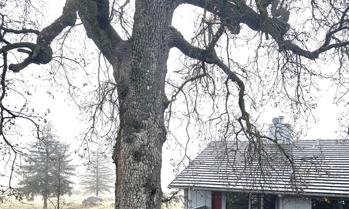 Stallion Springs Cottage | Private cottage quiet & peaceful 2-bedroom