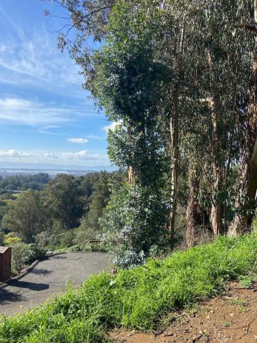 Redwood Heights Apartment | Private Oakland Hills Guest Apartment