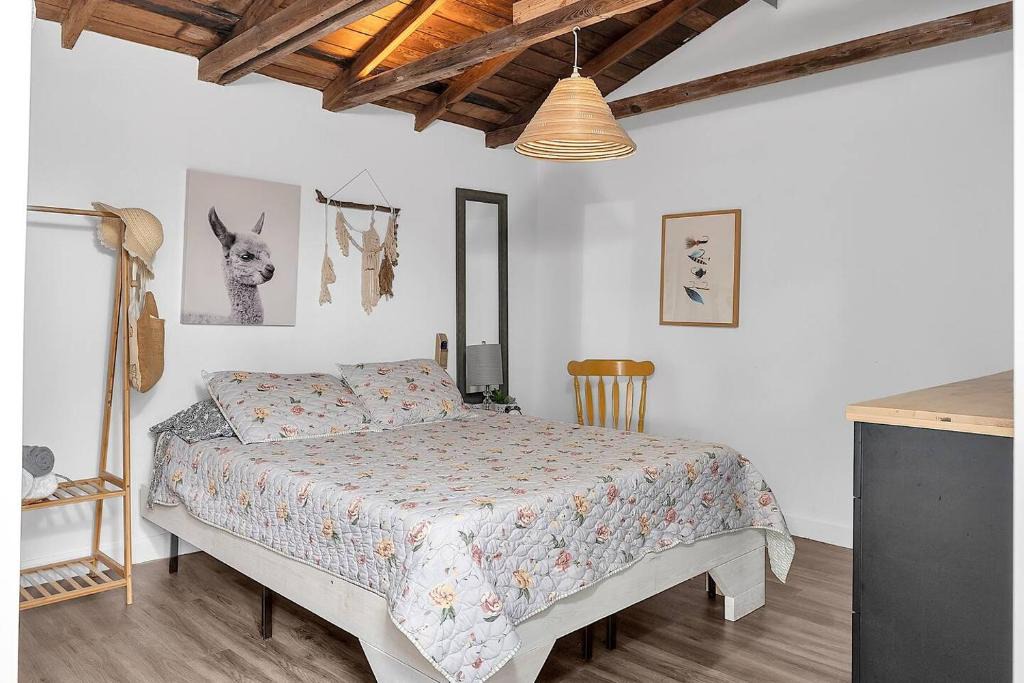 Coral Way Apartment | Private Studio Cabin steps from Calle 8