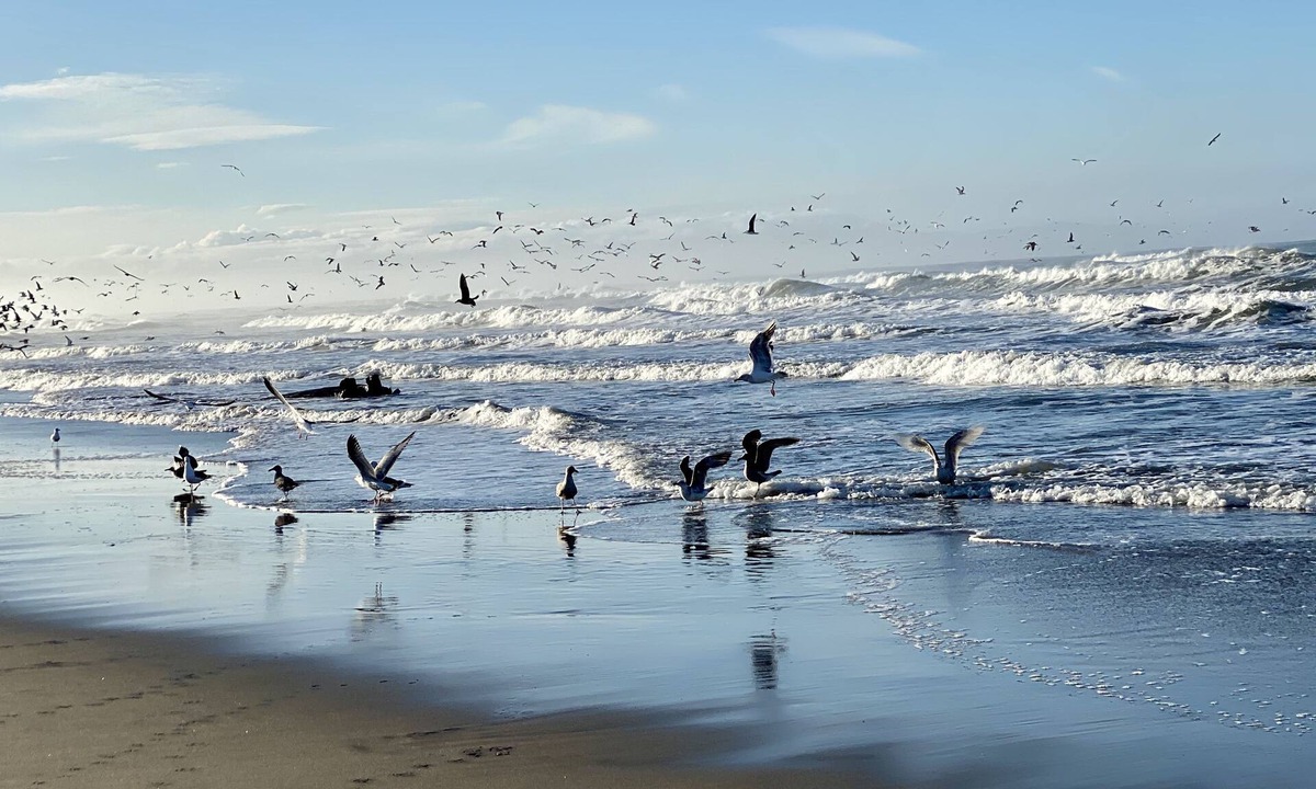 Pajaro Dunes Condo | Remote Oceanfront Retreat Between Santa Cruz & Monterey