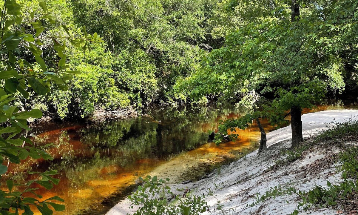 Wing RV Rental | Riverfront camp sites near Wing, AL Bring your RV or Tent. 30 AMP Full Hookups.