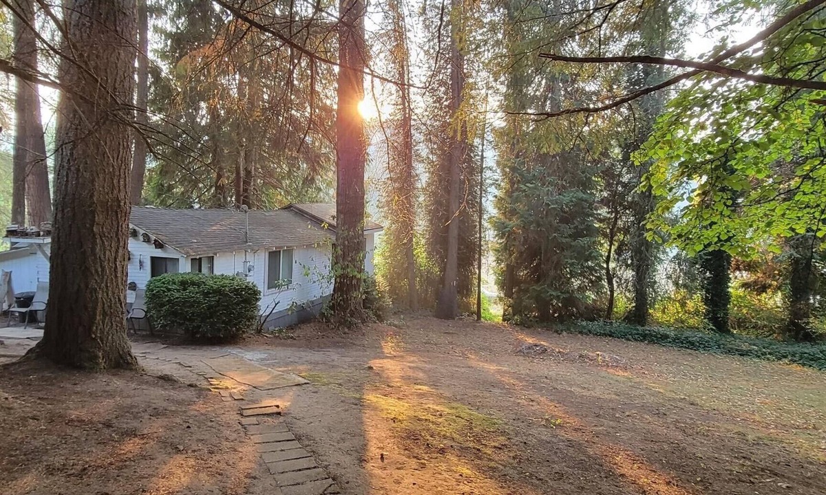 Clatskanie Cabin | Rustic forest cabin - perfect for solo travelers who cherish privacy and quiet.