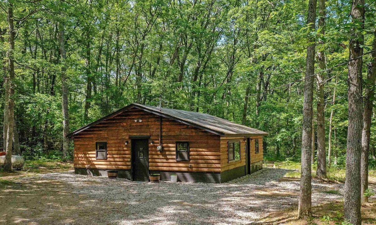 Wellston Cabin | Sand Lake Log Cabin- Pets OK, Starlink Wifi, Smart TV, AC, Grill, Firepit