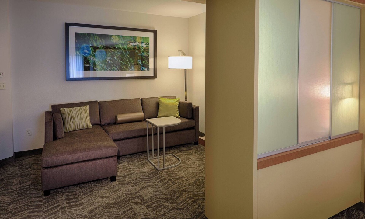 Newtonville Hotel | SpringHill Suites by Marriott Albany-Colonie