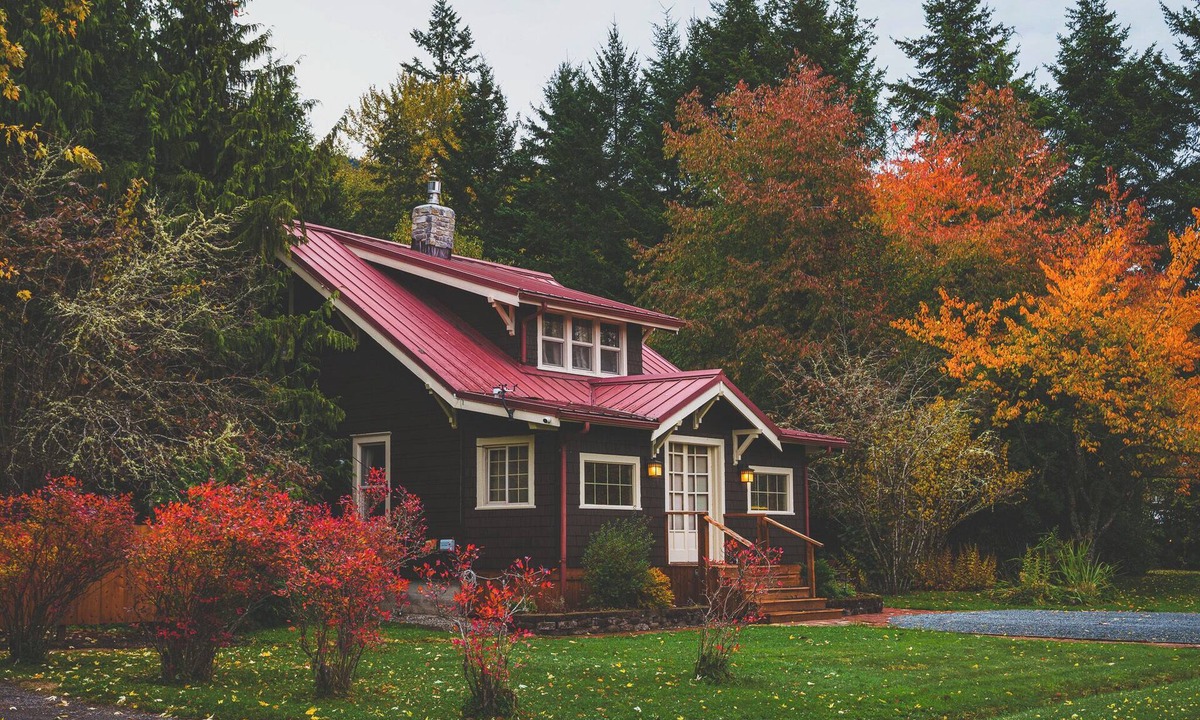 Ashford Cabin | Summit Suite at Ashford Lodge - Hot Tub and Projector, near Mt. Rainier!