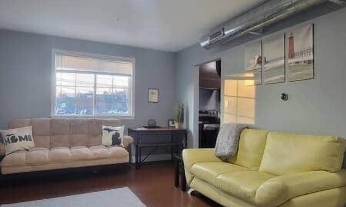 Royal Oak Apartment | *the Michigander* Entire Queen BR suite! @MicroLux