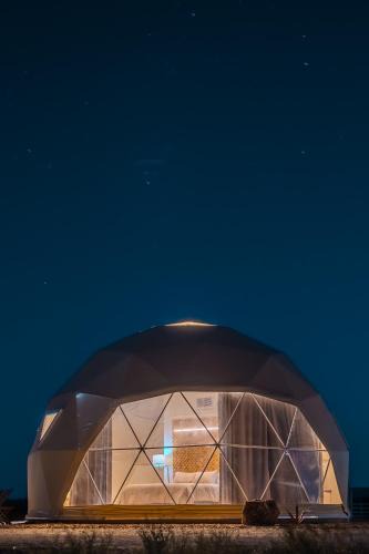 Willcox Other | The Wine Dome