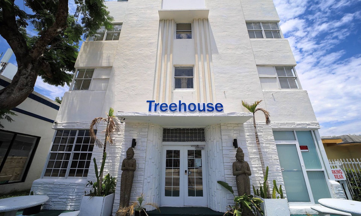 Northeast Miami Apartment | Treehouse Hotel