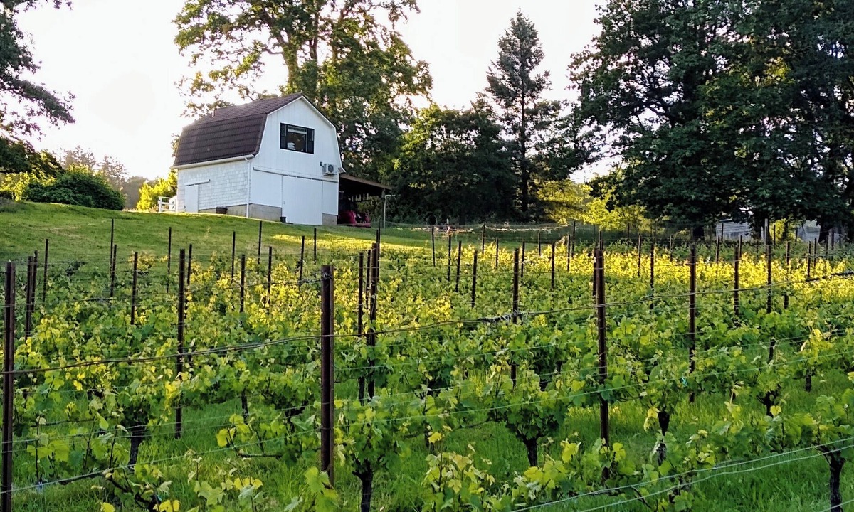 Salem House | Vineyard Cottage Barn | Eola-Amity Hills Retreat