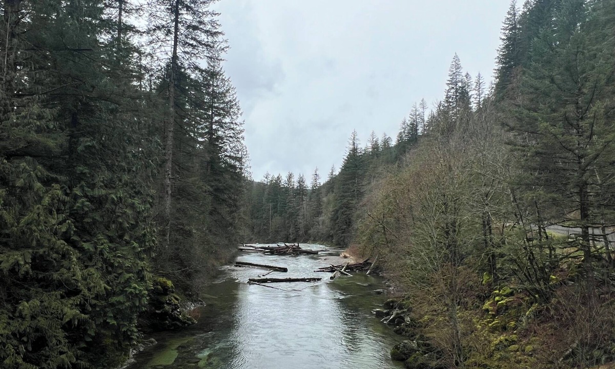 Washougal Apartment | Washougal River Front Apt. Pets OK Close to Columbia Gorge, close to PDX