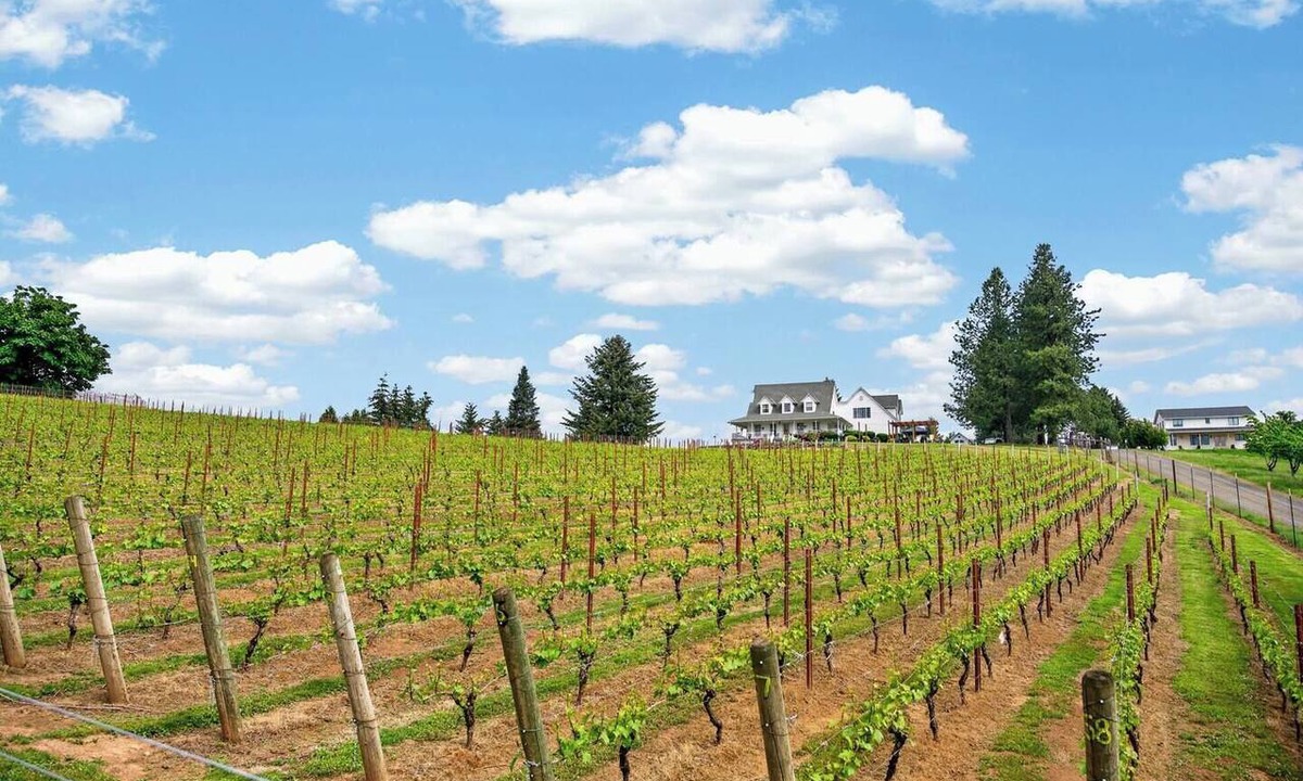 Alpine Other | Willamette Wine Country Vineyard Escape