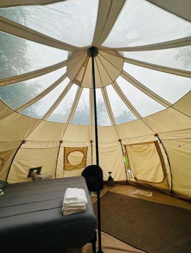 Mc Caskill Apartment | x stargazer2
