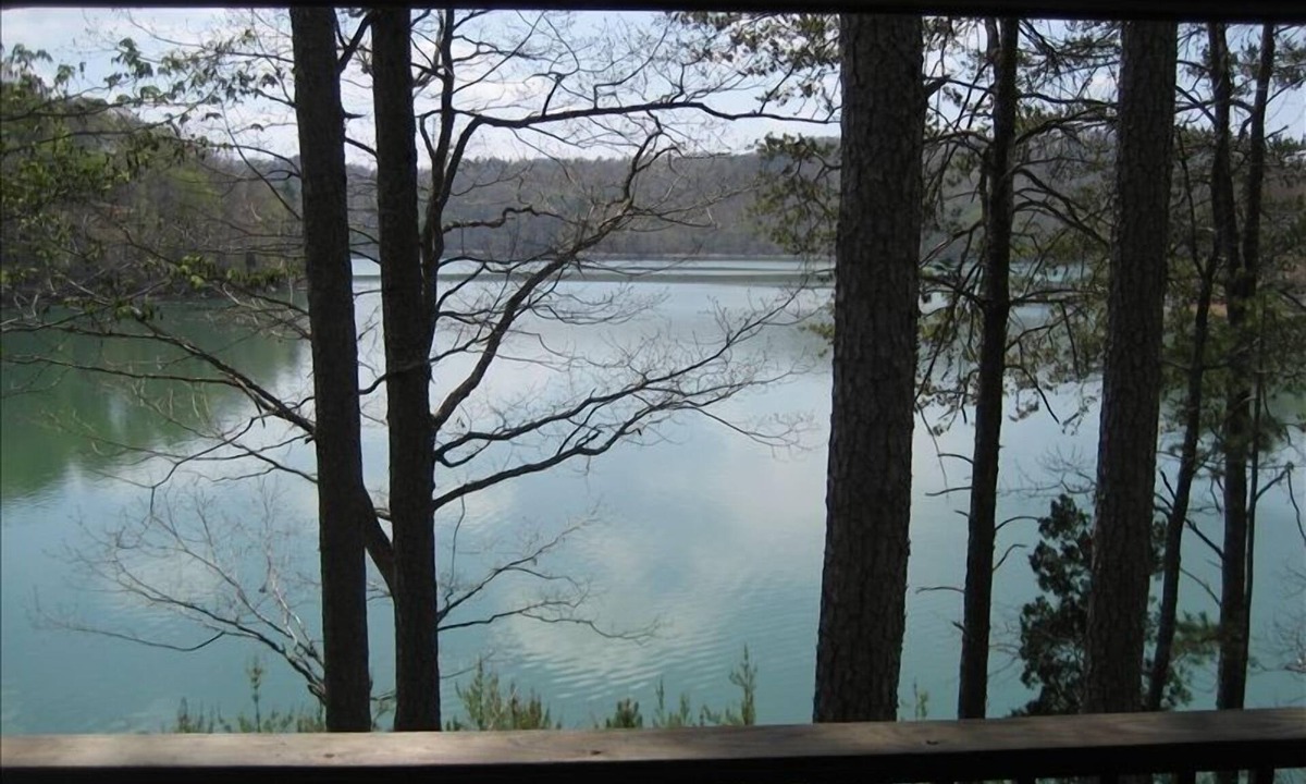 Big Creek Cabin | You won’t believe the view!