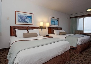 Family & Friends Getaway! 2 Convenient Units, Free Parking, Pets Are Welcome!