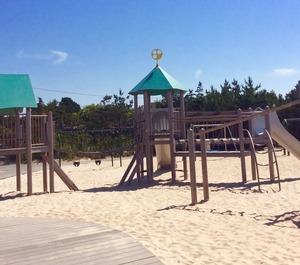Fire Island Beach 