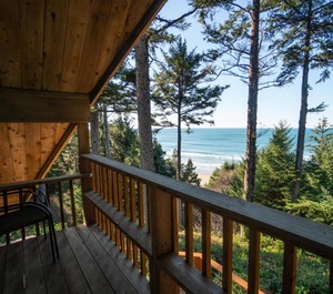 The Cedar 