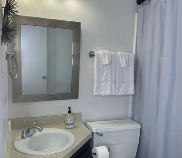 Fondren Apartment | 1 BR Loft Medical District Fondren