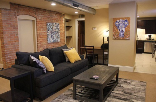 Vine Apartment | 131 Cedar 5 · Luxury Studio with Full Kitchen in Downtown Kalamazoo