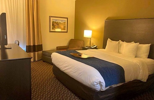 Kalamazoo Hotel | 2-Star Hotel ∙ Comfort Inn Wings Stadium