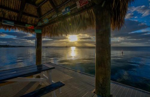 Key Largo Apartment | 2BR in Key largo w pool and sunset views