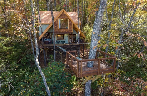 Highlands Cabin | A-Frame Treehouse with Giant Treetop Net - The Carpentree