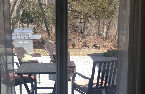Mystic House | A peaceful nature setting within a two minute drive to Historic Downtown Mystic.