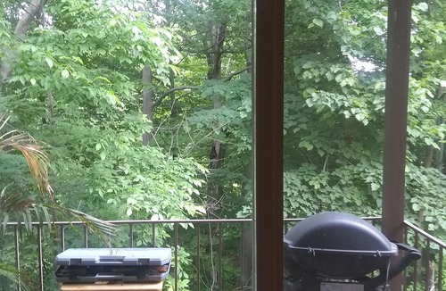 Whittaker Apartment | a Relax and Quiet Place, View to the Forest