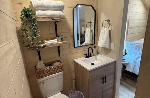 Fairbanks Cabin | Adorable Tiny Cabin with water and WiFi