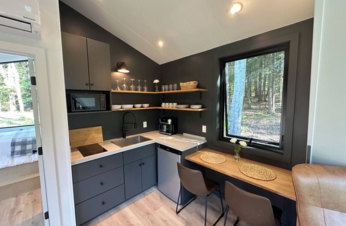 Greenfield Center Cabin | Aframe tiny home in the forest
